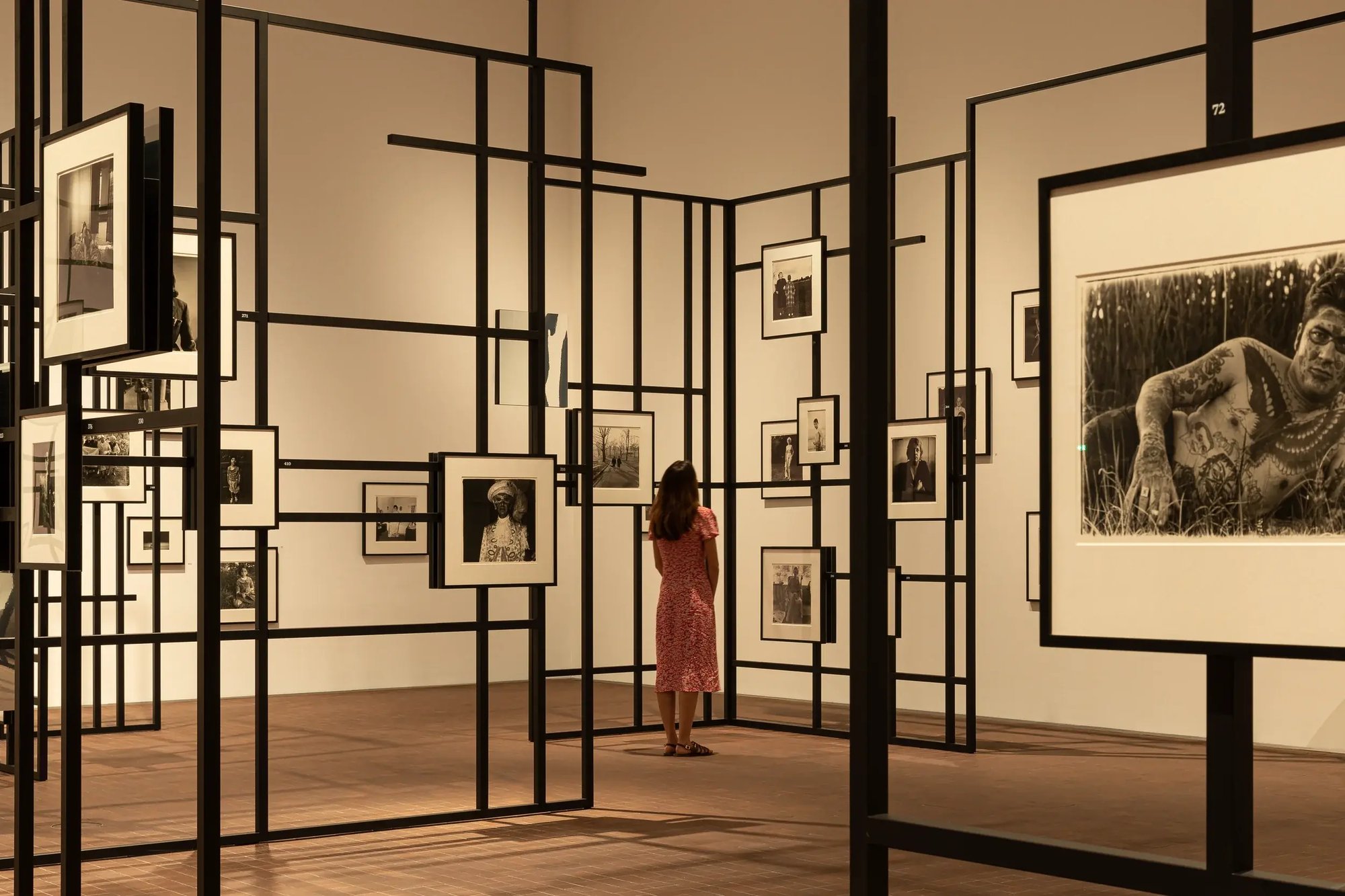 230614-LUMA-ARBUS-ADRIANDEWEERDT-16-Modifier 230614-LUMA-ARBUS-ADRIANDEWEERDT-16-Modifier