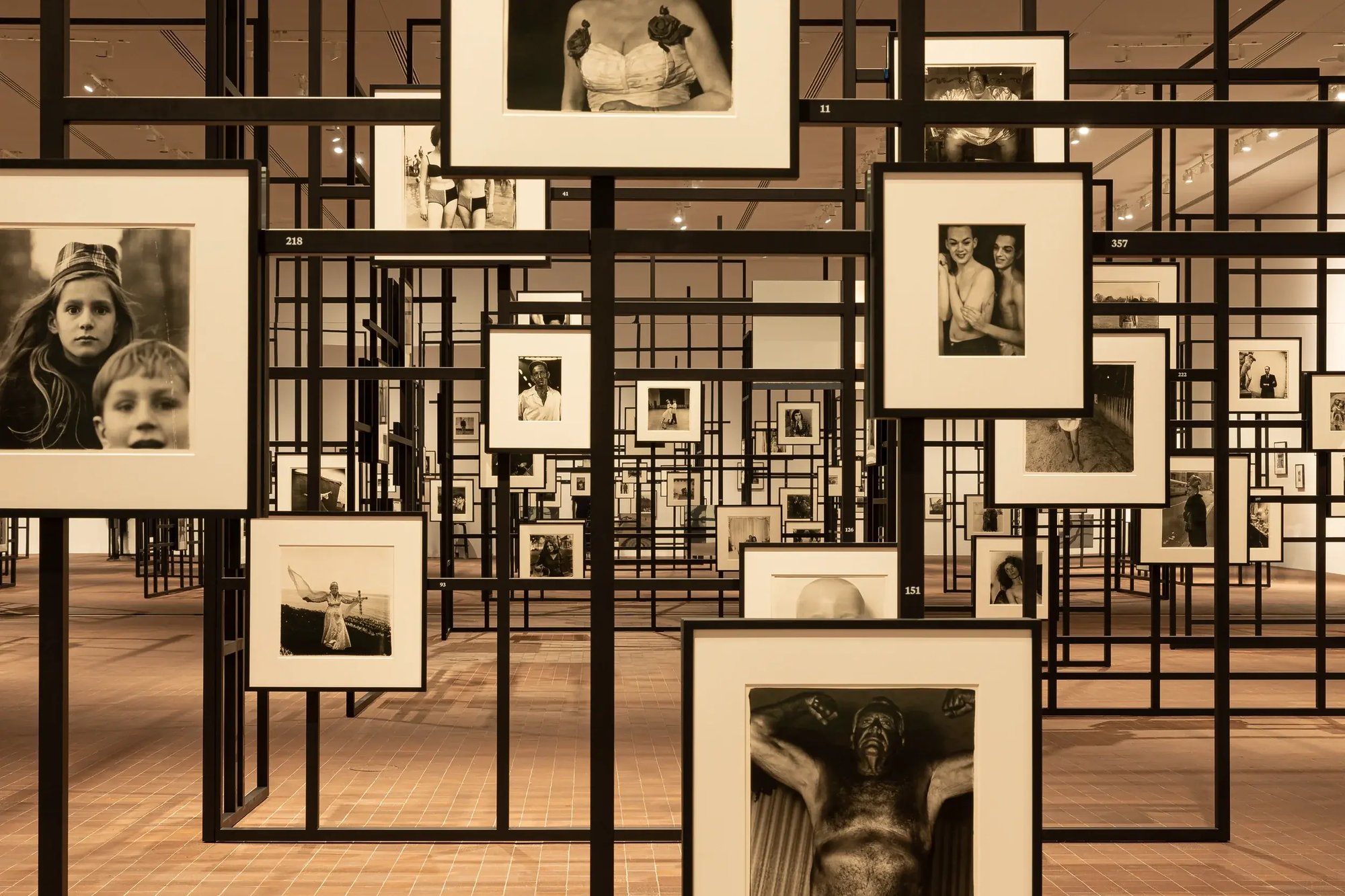 230614-LUMA-ARBUS-ADRIANDEWEERDT-2 230614-LUMA-ARBUS-ADRIANDEWEERDT-2