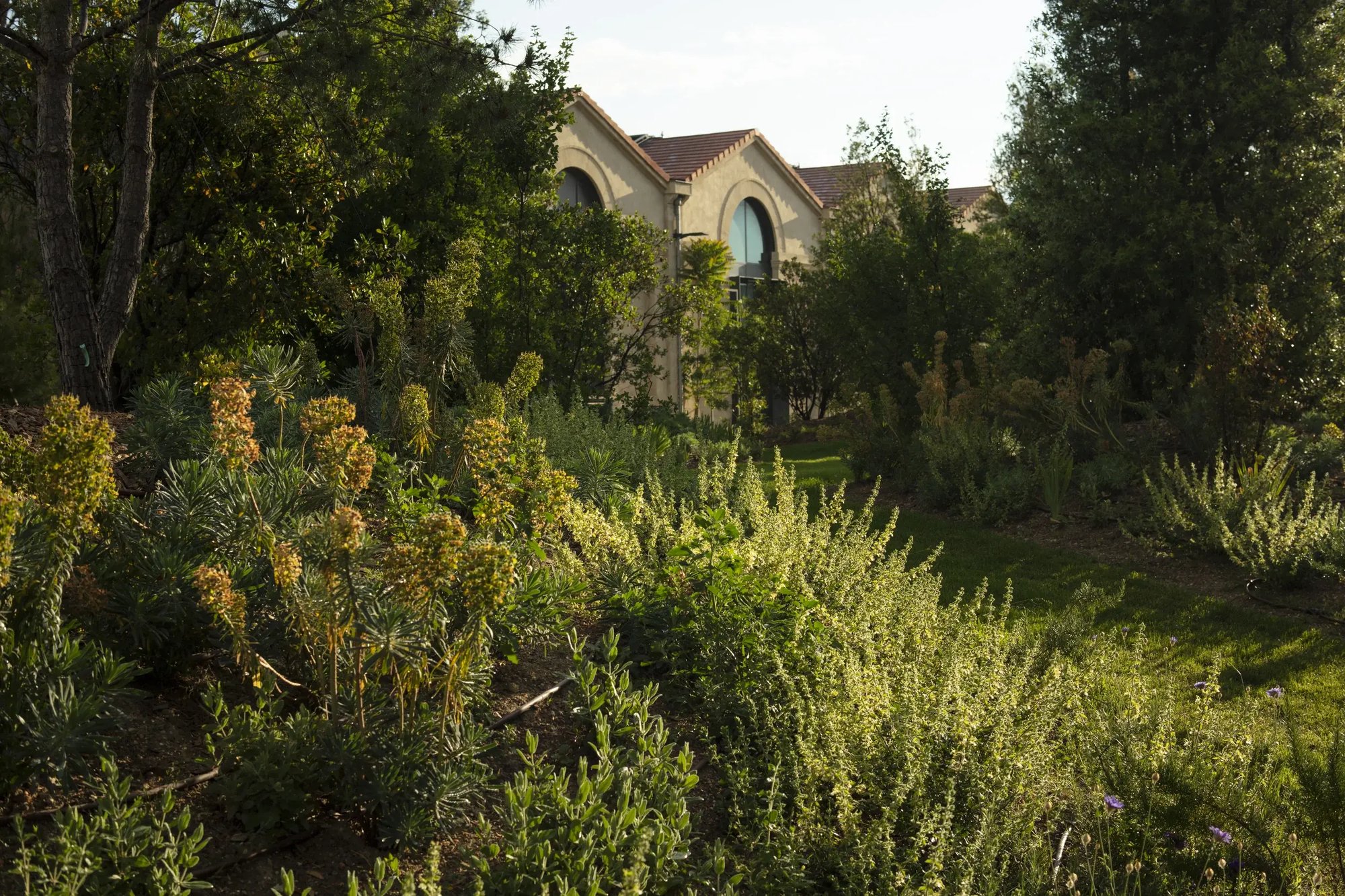 210531-LUMA-PARCPAYSAGER-REMIBENALI-049 210531-LUMA-PARCPAYSAGER-REMIBENALI-049