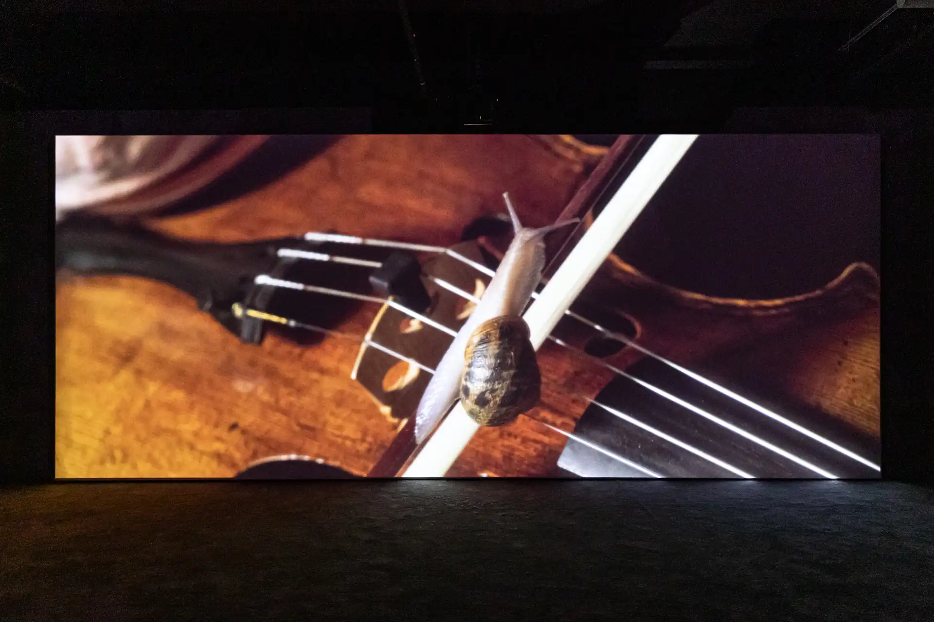 210719-ANRISALA-ADRIANDEWEERDT-38