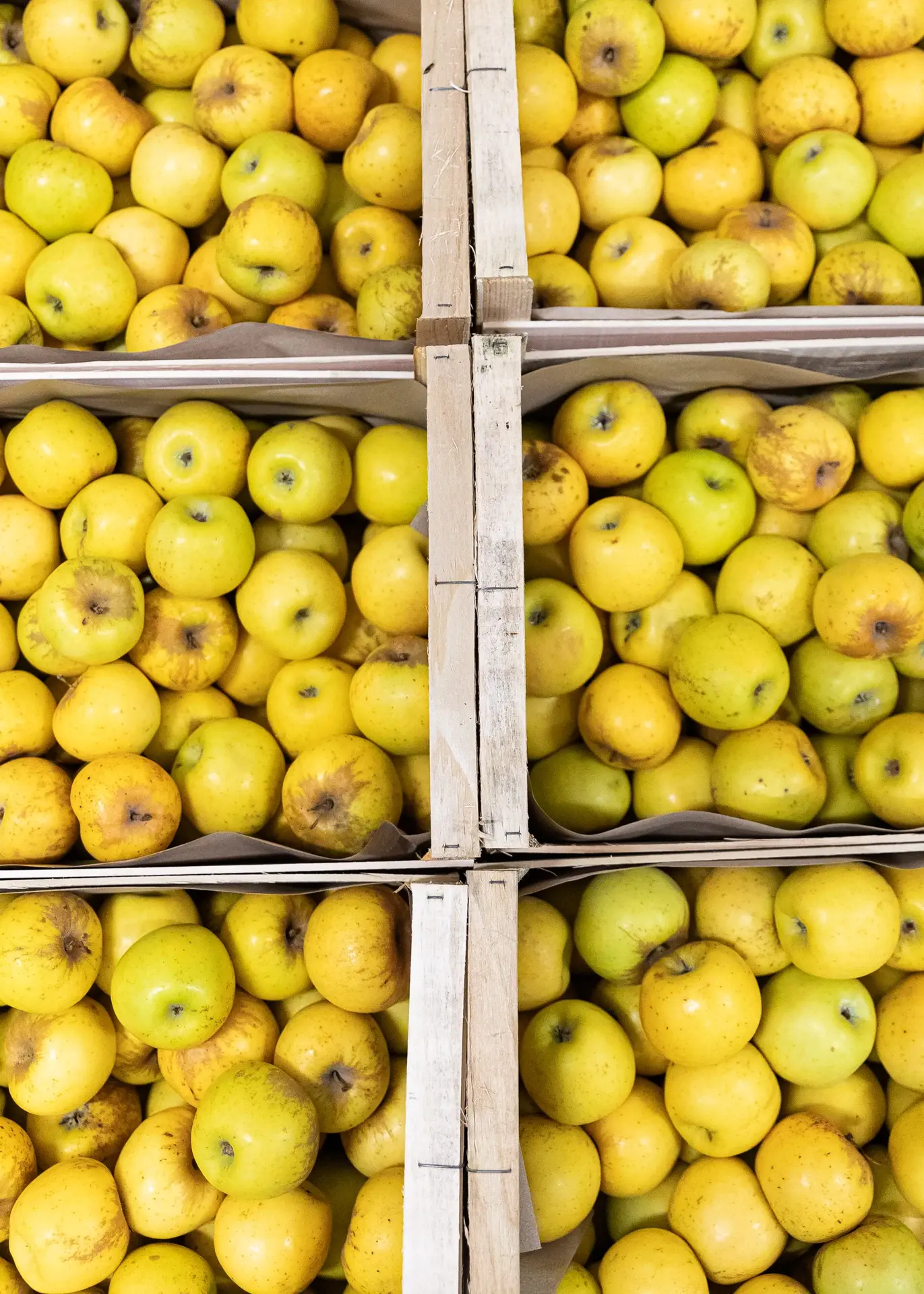 230116-LMA-MASDAUSSAN-ADRIANDEWEERDT-24