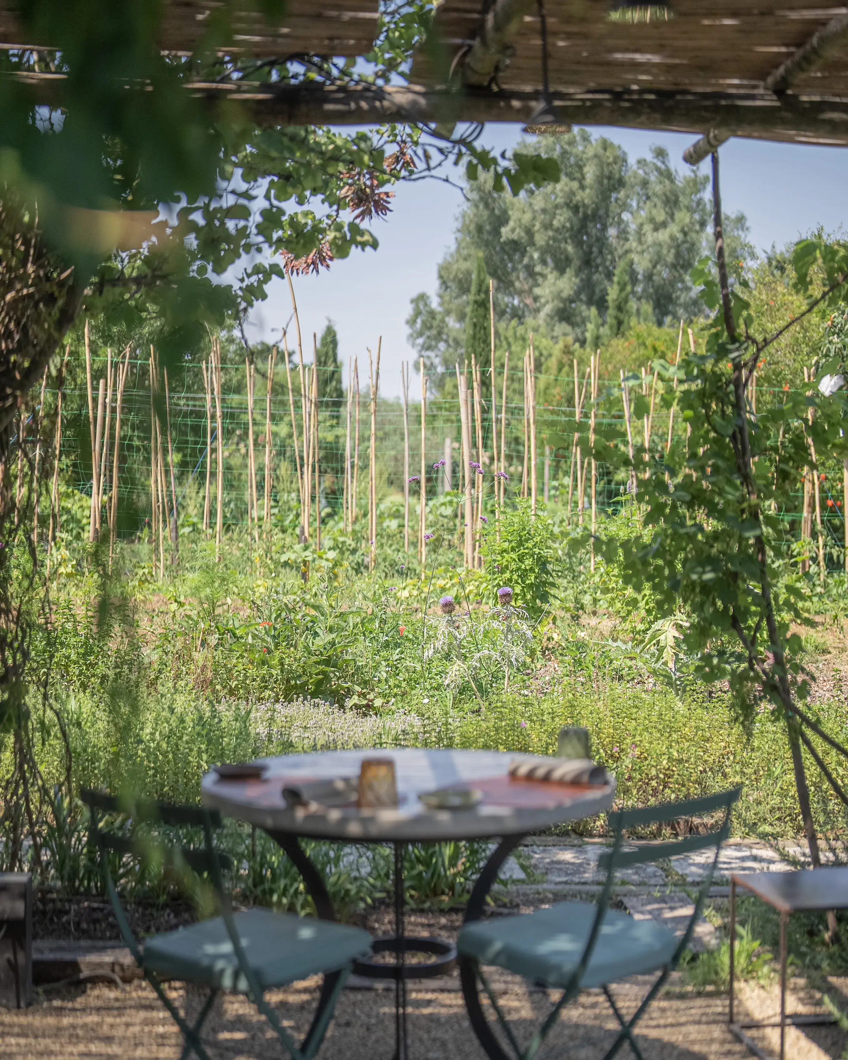 230615-LACHASSAGNETTE-BENOITMILLOT-9