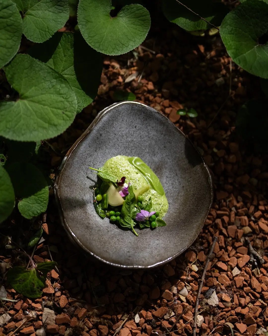 250407-LMA-LACHASSAGNETTE-BENOITMILLOT-2