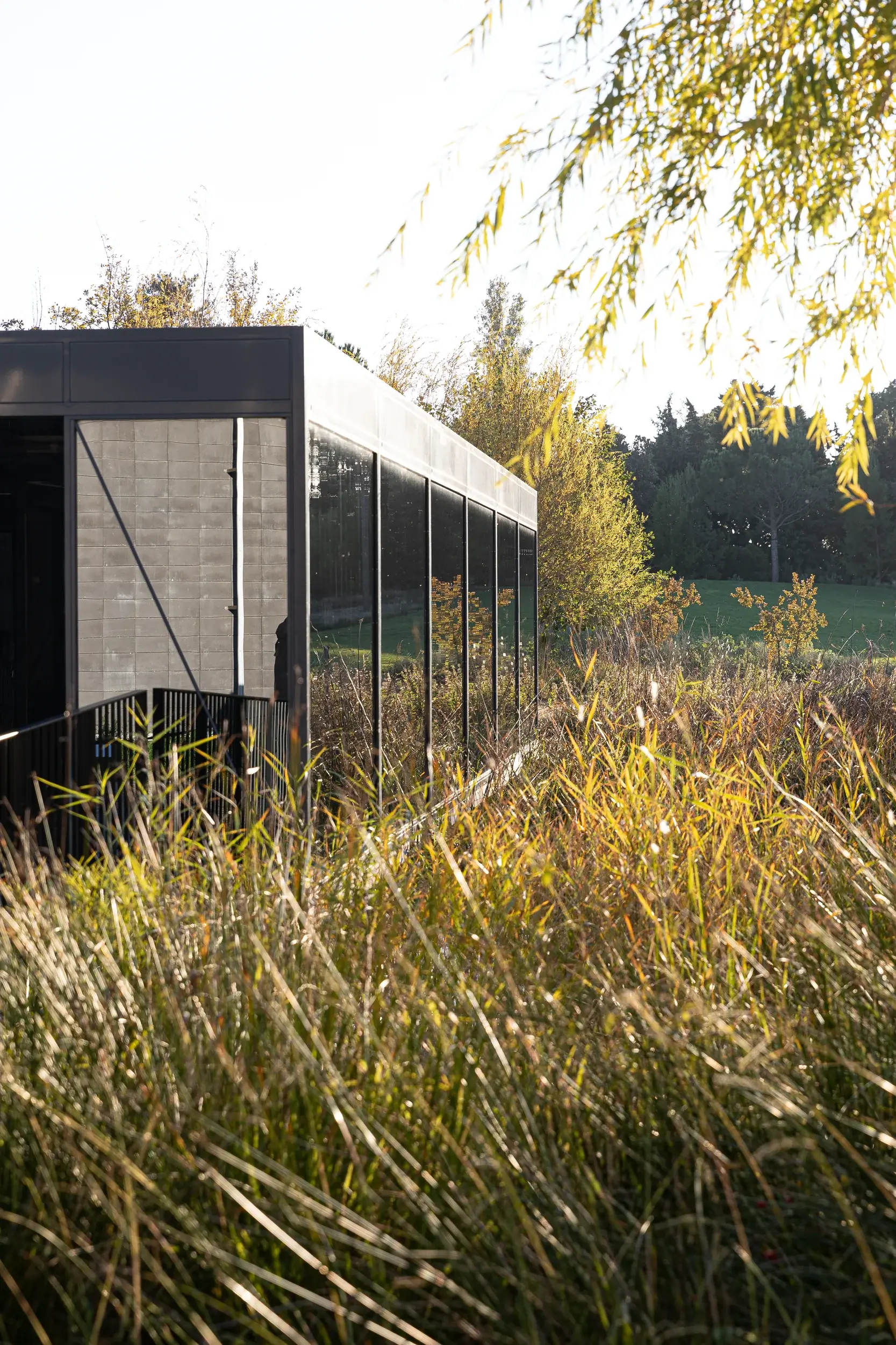 241113-PARCPAYSAGER-AUTOMNE-ADRIANDEWEERDT-5