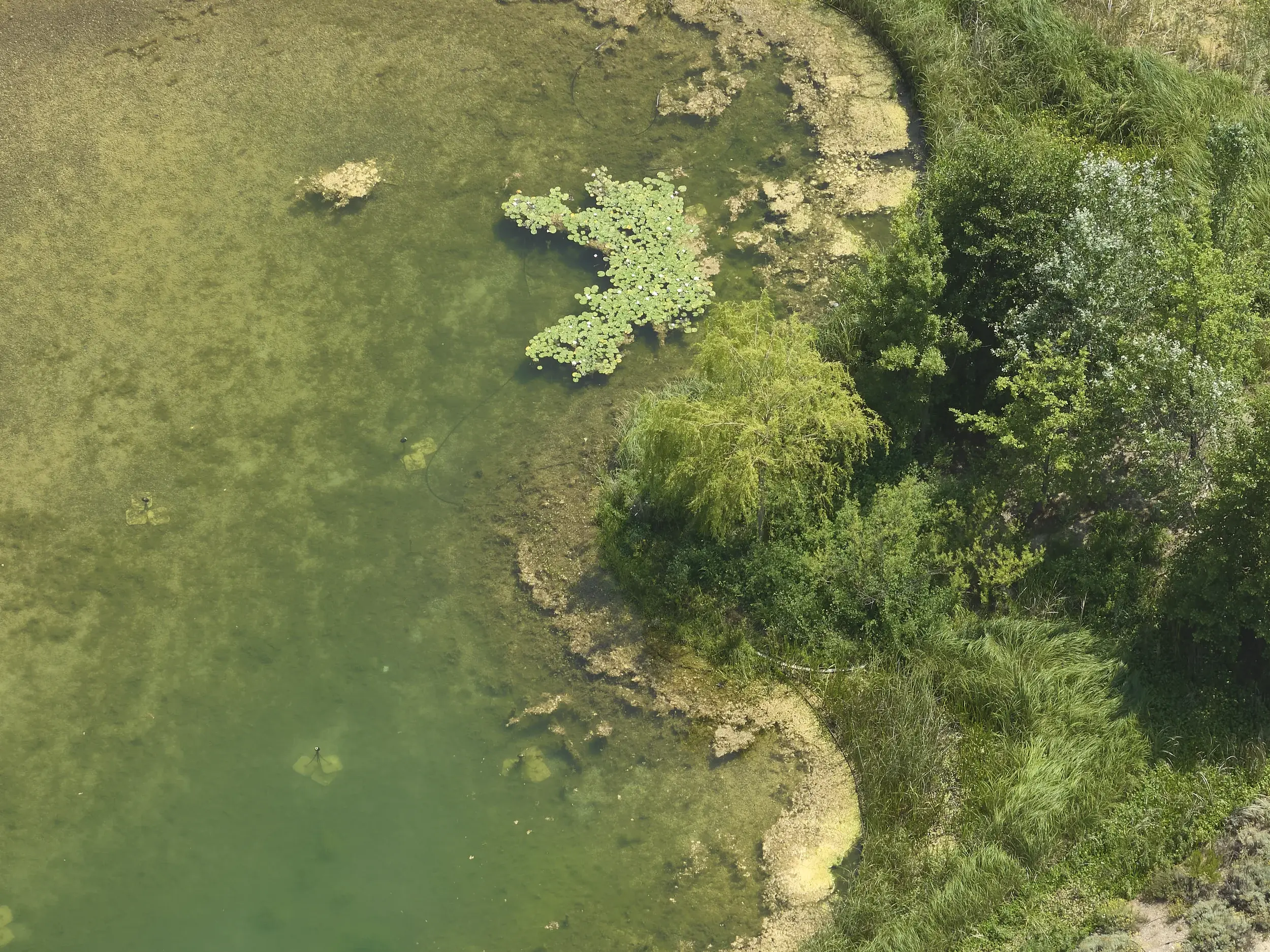 250617-LUMA-DRONE-ADRIANDEWEERDT-79