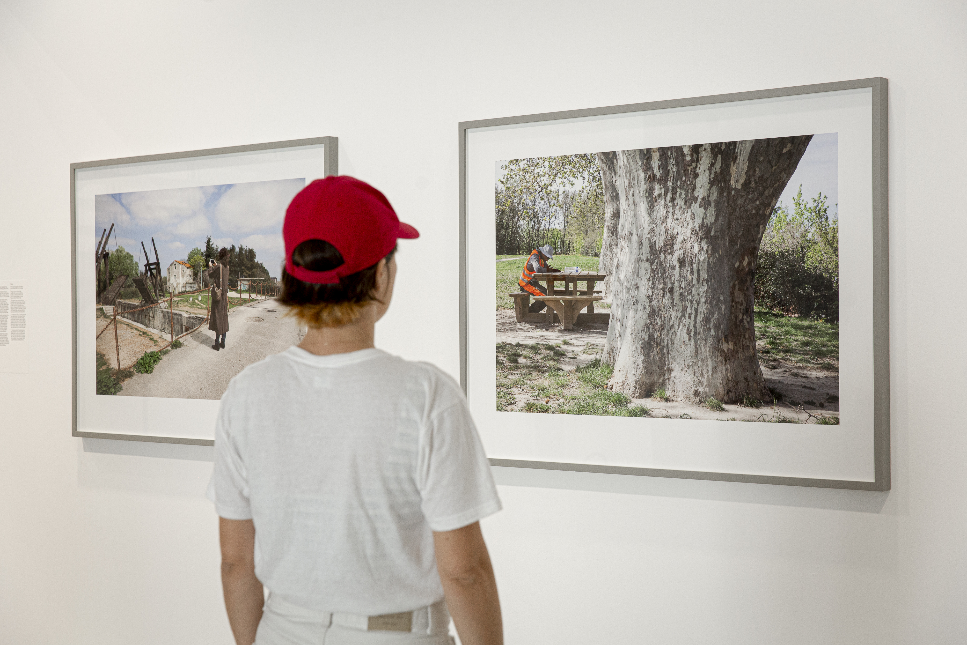 230630-LUMA-AHLAMSHIBLI-RENATAPIRES-35