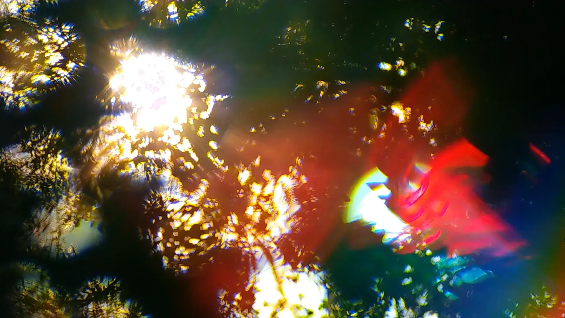 CosmofoniaCamargues_STILL_260306_01_18_40_15 - 1920 x 1080