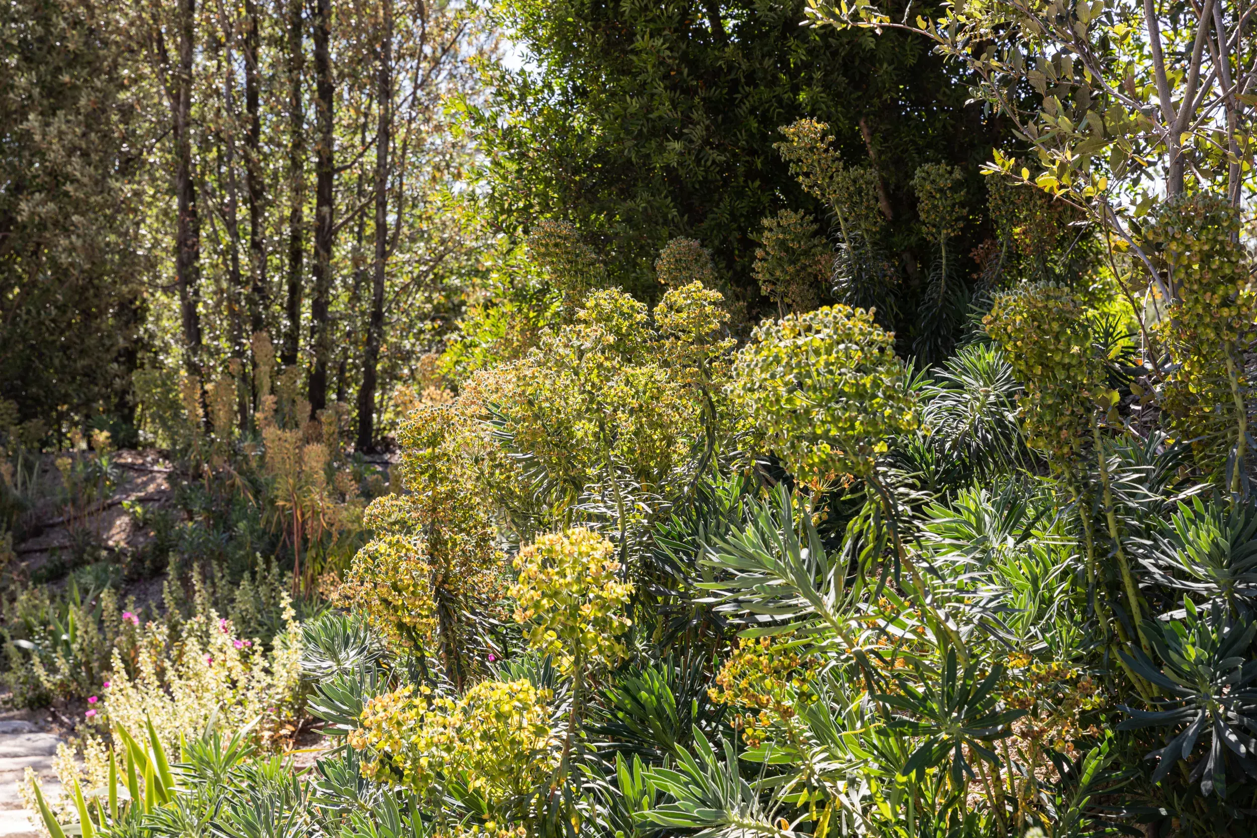 210527-PARCPAYSAGER-ADRIANDEWEERDT-57 - Large